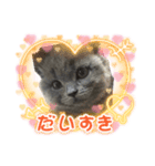 ⭐︎Jillランド⭐︎（個別スタンプ：7）
