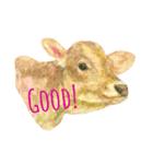 MSG from animals（個別スタンプ：9）