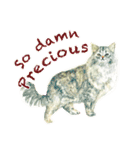 MSG from animals（個別スタンプ：11）