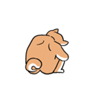 なにかがおかしい柴犬（個別スタンプ：4）