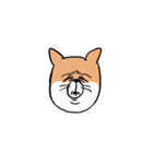 なにかがおかしい柴犬（個別スタンプ：12）