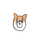 なにかがおかしい柴犬（個別スタンプ：16）