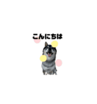 BARON(2)敬語ver.（個別スタンプ：3）