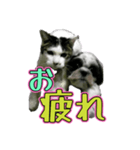 組み合わせ自由で送るデカ文字！！（個別スタンプ：5）