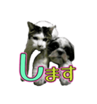 組み合わせ自由で送るデカ文字！！（個別スタンプ：31）