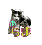 組み合わせ自由で送るデカ文字！！（個別スタンプ：37）