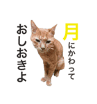 しもてぃーず10（個別スタンプ：4）