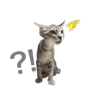 しもてぃーず10（個別スタンプ：7）