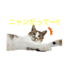しもてぃーず9（個別スタンプ：3）