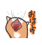 りんにゃんこ。（個別スタンプ：1）
