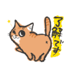 りんにゃんこ。（個別スタンプ：5）