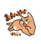 りんにゃんこ。（個別スタンプ：22）