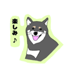 動物 柴犬編（個別スタンプ：13）