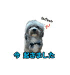 スクールの仲間たち5（個別スタンプ：1）