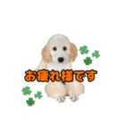 スクールの仲間たち5（個別スタンプ：2）