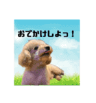 スクールの仲間たち5（個別スタンプ：3）