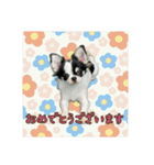 スクールの仲間たち5（個別スタンプ：6）