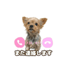スクールの仲間たち5（個別スタンプ：15）