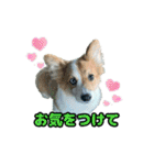 スクールの仲間たち5（個別スタンプ：16）