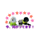 スクールの仲間たち5（個別スタンプ：17）