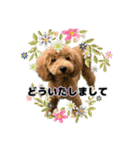 スクールの仲間たち5（個別スタンプ：21）