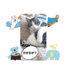 武居Family37（個別スタンプ：2）