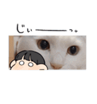 武居Family37（個別スタンプ：5）