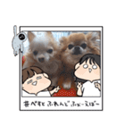 武居Family37（個別スタンプ：12）
