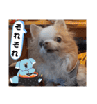 武居Family37（個別スタンプ：26）