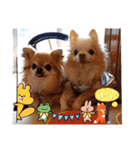 武居Family37（個別スタンプ：27）