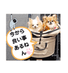 武居Family37（個別スタンプ：28）