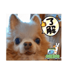 武居Family37（個別スタンプ：30）