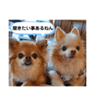 武居Family37（個別スタンプ：32）