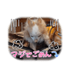 武居Family37（個別スタンプ：35）