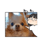 武居Family37（個別スタンプ：36）