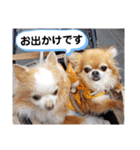 武居Family37（個別スタンプ：37）