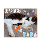 武居Family37（個別スタンプ：40）