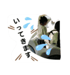 日常挨拶、イベントスタンプ（個別スタンプ：34）