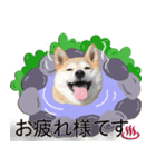 柴犬のハル君（個別スタンプ：7）