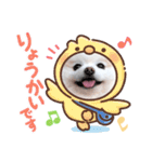 かわいいポメラニアン…まるくん（個別スタンプ：2）