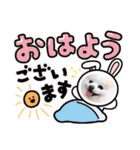 かわいいポメラニアン…まるくん（個別スタンプ：5）