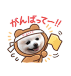 かわいいポメラニアン…まるくん（個別スタンプ：11）