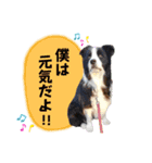 ライトとミントナ（個別スタンプ：1）