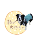 ライトとミントナ（個別スタンプ：2）