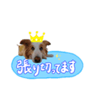 ライトとミントナ（個別スタンプ：5）