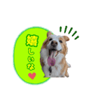 ライトとミントナ（個別スタンプ：6）