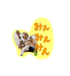 ライトとミントナ（個別スタンプ：7）