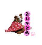 ライトとミントナ（個別スタンプ：8）