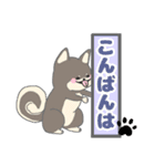 柴犬さん。のスタンプ。（個別スタンプ：3）