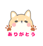 柴犬さん。のスタンプ。（個別スタンプ：5）